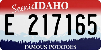 ID license plate E217165