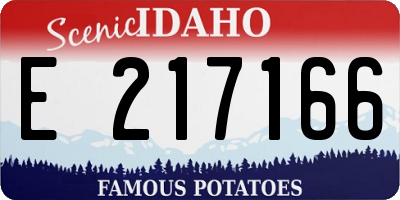 ID license plate E217166