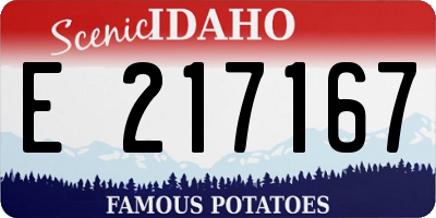 ID license plate E217167