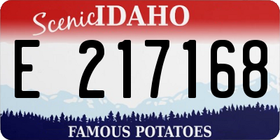 ID license plate E217168