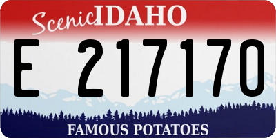 ID license plate E217170