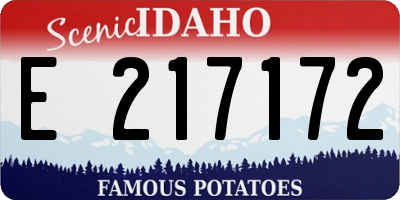 ID license plate E217172