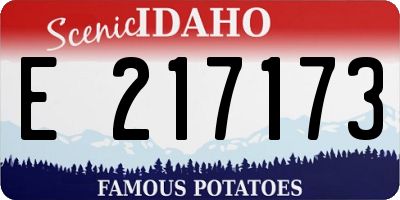 ID license plate E217173