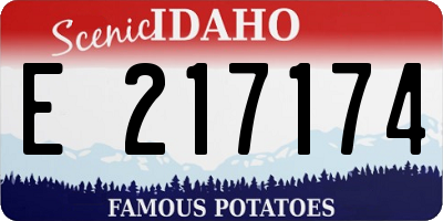 ID license plate E217174