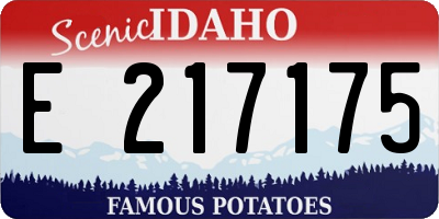ID license plate E217175
