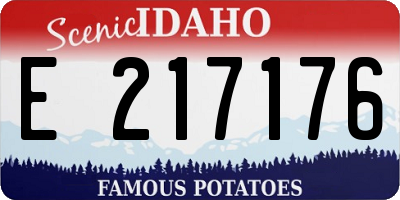 ID license plate E217176