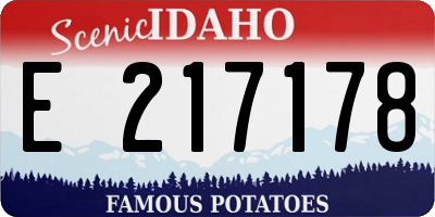 ID license plate E217178