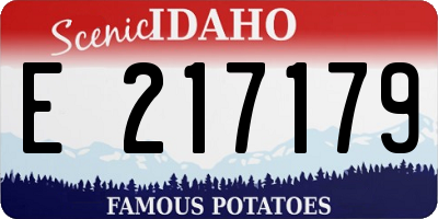 ID license plate E217179