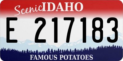 ID license plate E217183