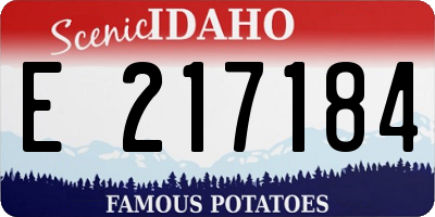 ID license plate E217184