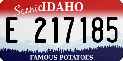 ID license plate E217185