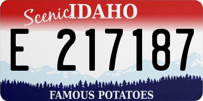 ID license plate E217187