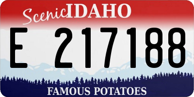 ID license plate E217188