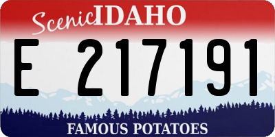 ID license plate E217191
