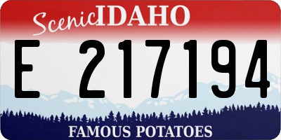 ID license plate E217194