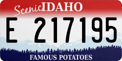 ID license plate E217195