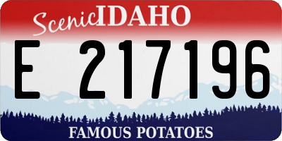 ID license plate E217196