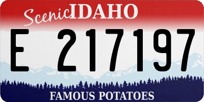 ID license plate E217197