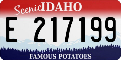 ID license plate E217199