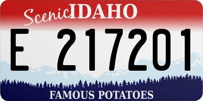 ID license plate E217201