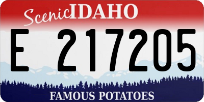 ID license plate E217205