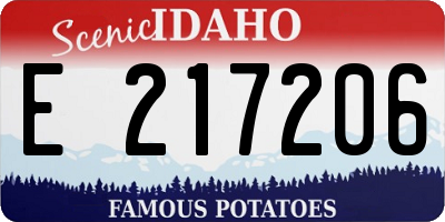 ID license plate E217206