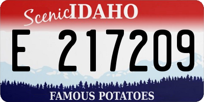 ID license plate E217209