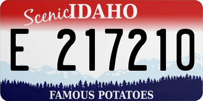 ID license plate E217210