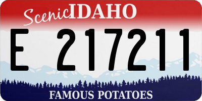 ID license plate E217211