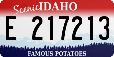 ID license plate E217213