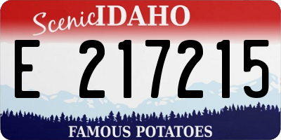 ID license plate E217215