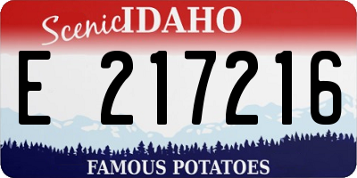 ID license plate E217216