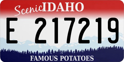 ID license plate E217219