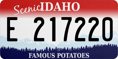 ID license plate E217220