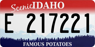 ID license plate E217221