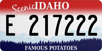ID license plate E217222