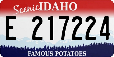 ID license plate E217224