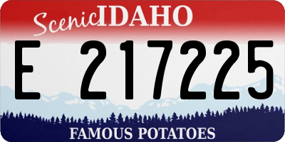 ID license plate E217225