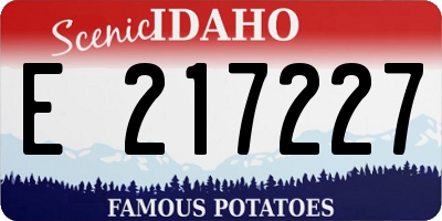 ID license plate E217227