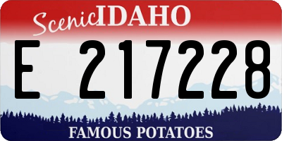 ID license plate E217228