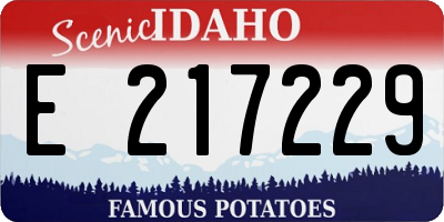 ID license plate E217229