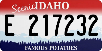 ID license plate E217232