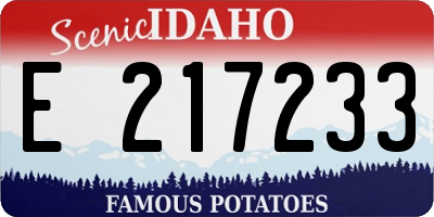 ID license plate E217233