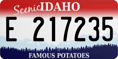 ID license plate E217235