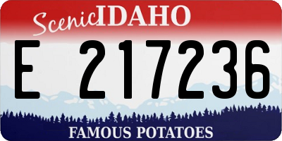 ID license plate E217236