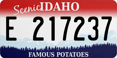 ID license plate E217237
