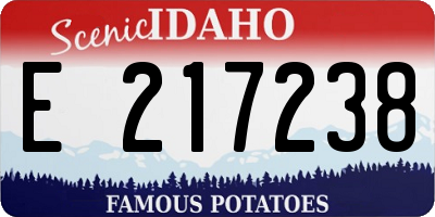 ID license plate E217238