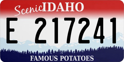 ID license plate E217241
