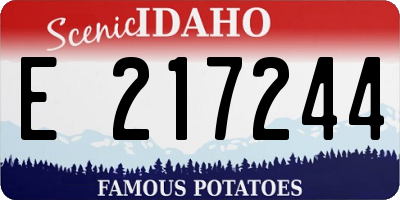 ID license plate E217244