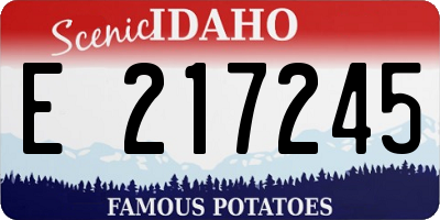 ID license plate E217245
